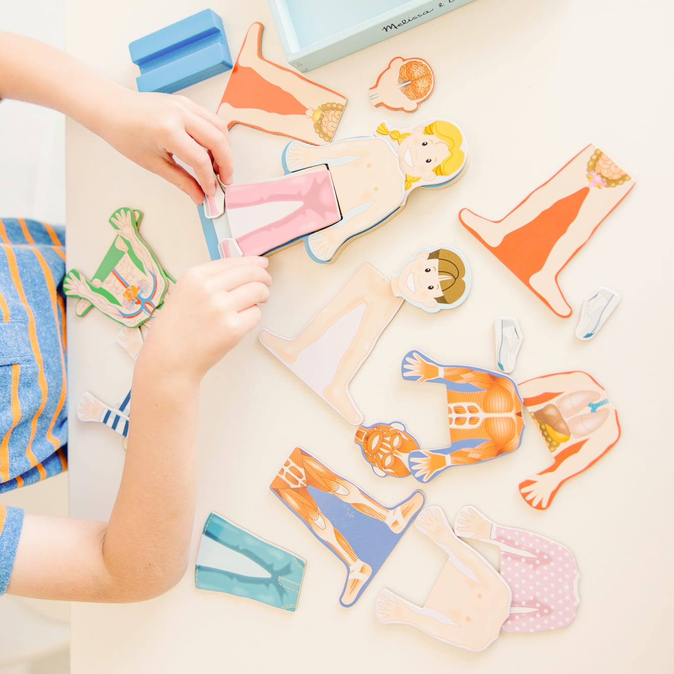 Magnetic Human Body Play Set