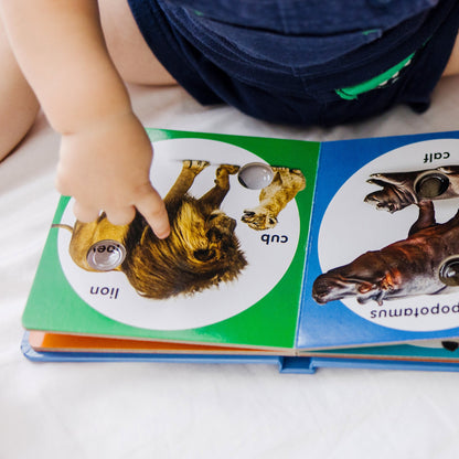 Poke-a-Dot: Wild Animal Families Board Book